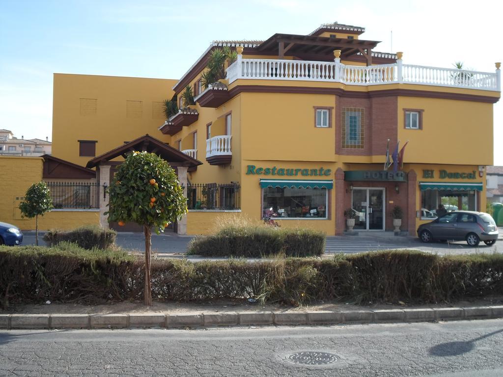 Hotel El Doncel Atarfe Екстериор снимка